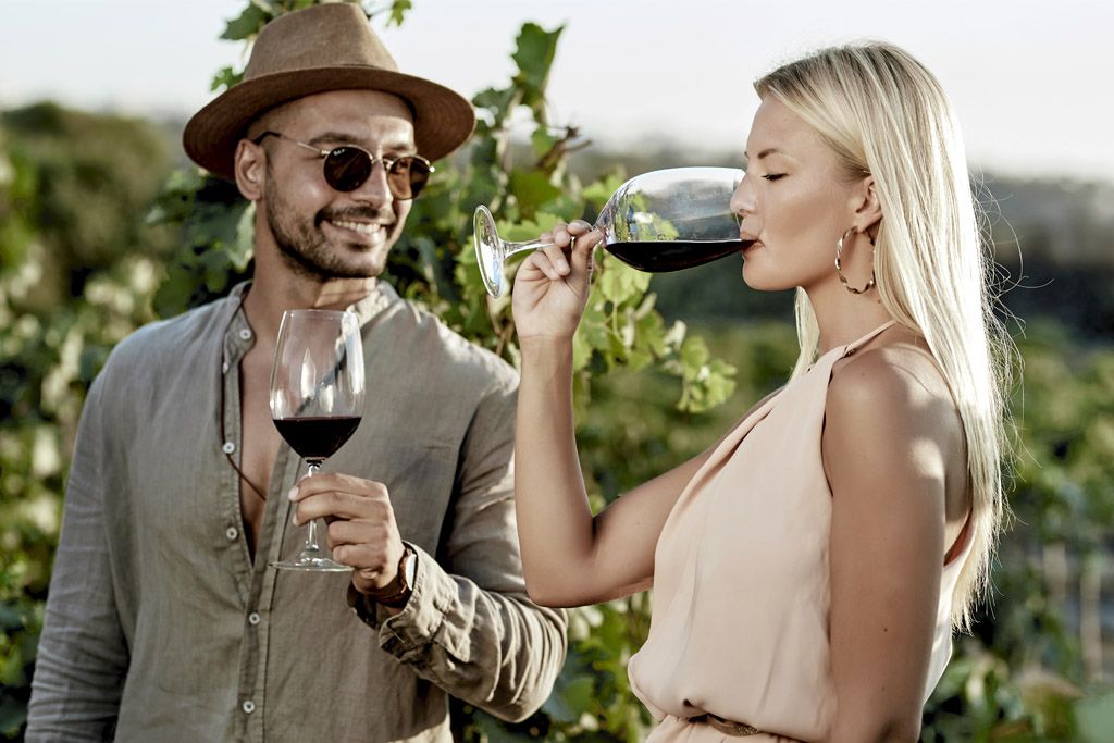 Wine Tour