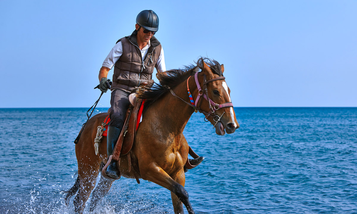 Caballo en el mar